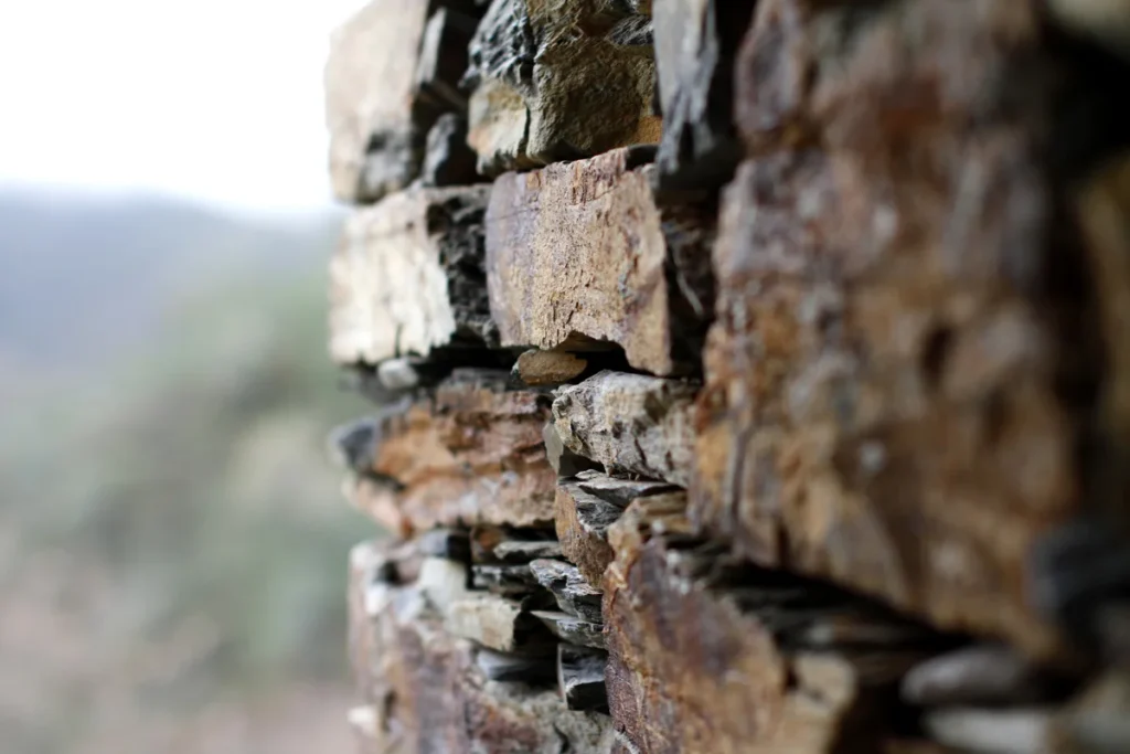 Pormenor de muro de xisto