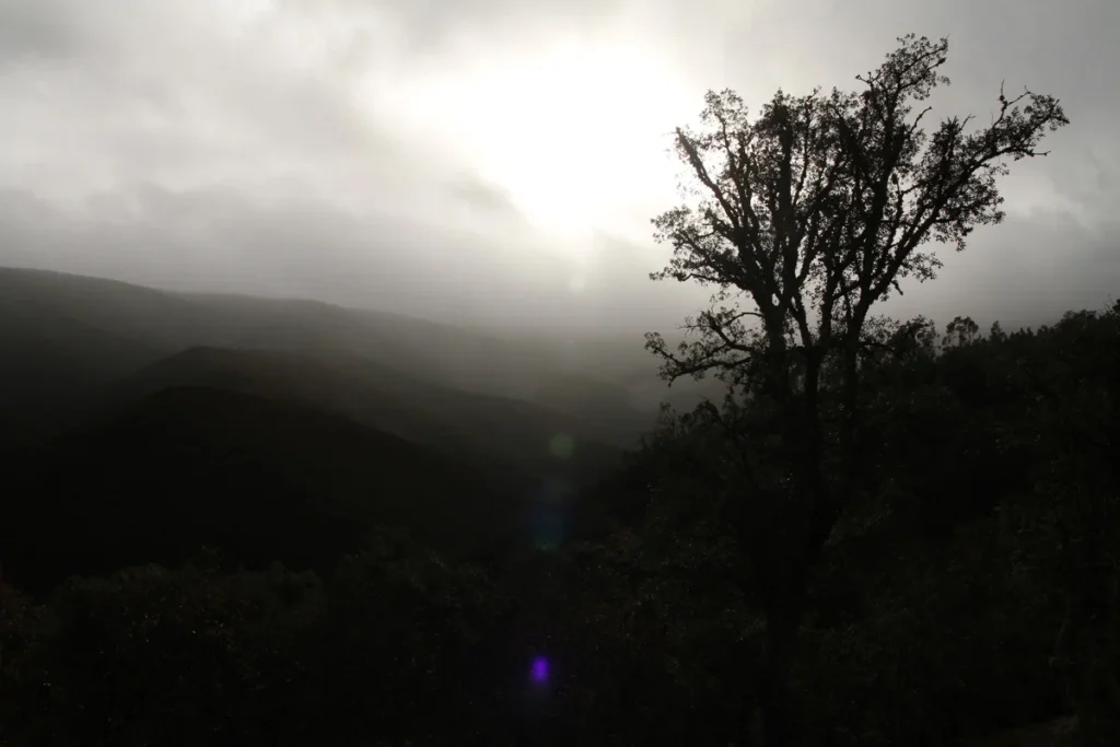 Nevoeiro sobre a Serra da Arada