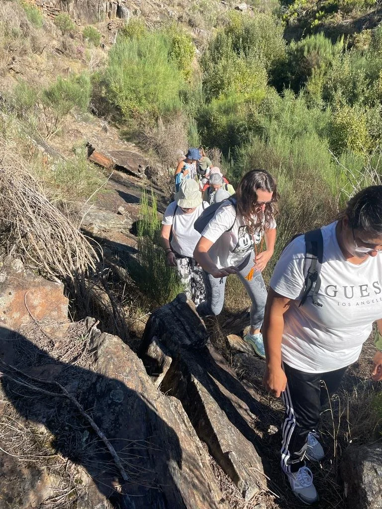 Prática em grupo na natureza durante um retiro