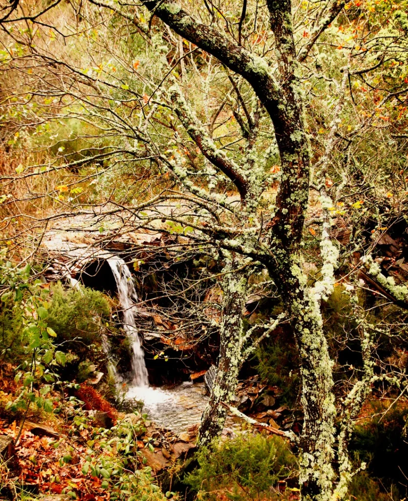 Cascata na Serra da Arada